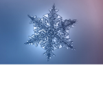 Frosty Group