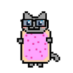 Simply a mochi cat :3