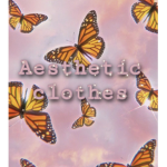 ºaesthetic clothesº
