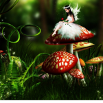 Mushroom fairy squad