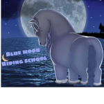 Blue moon riding school