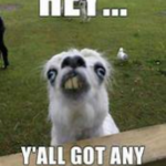 Hello I Say HI