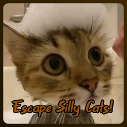 Escape Silly Cats