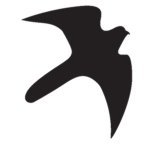 Kestrel Studio
