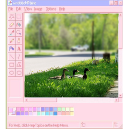🌸
