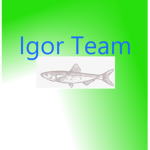 Igor team