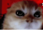 Roubux_lol