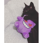 evilmf