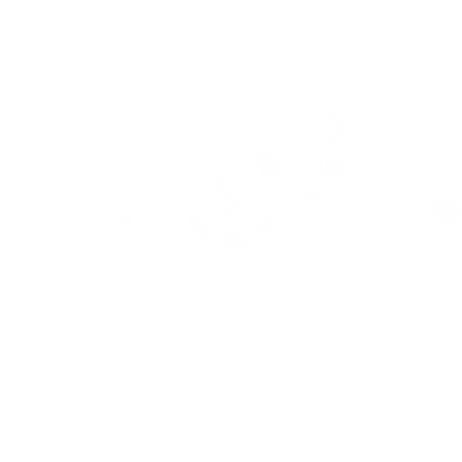 Wind Particle