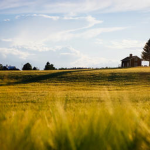 La Famiglia Andolini Farms
