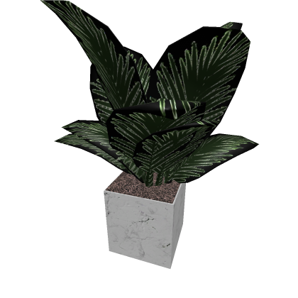 Office Plant