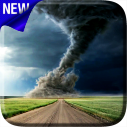 tornado survival! [NEW]