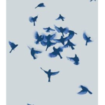 Free As A Bird