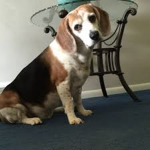 buster and sophie studios