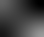 Qubit Studio