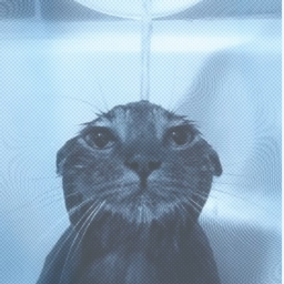 ؛༊