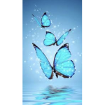 Butterfly are not bugs there special