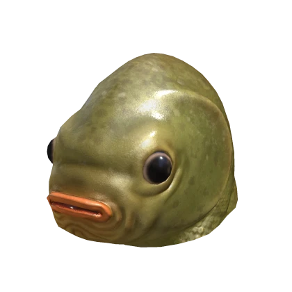 Fish - Roblox