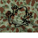 The USMC Frogs