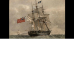 The BASTSI Royal Navy