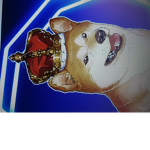 KING Doge Dude