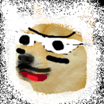the bro doges