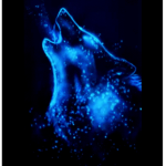 Pandawolf1228