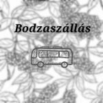 BSZ (Urbanmove)