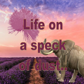 코끼리는 후의 소리를 듣는다