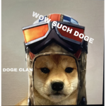 D0G3 Cl4n