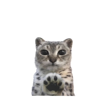 Mei Mei Snow Leopard Cape White