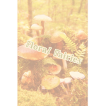 Floral Fairies ;;