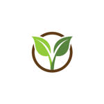 Northern Energy Incorporation