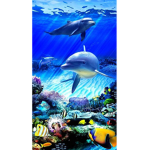 Shark house studios
