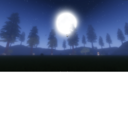 Night forest