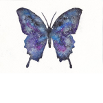 εϊз The Butterfly Family. εϊз