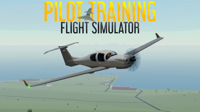 Pilot Training Flight Simulator