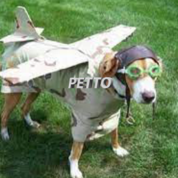 Pettos Travlers