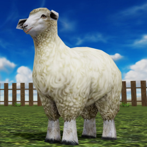 Crazy Sheep