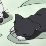 Chiyuim