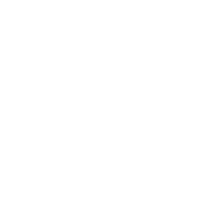 PL - Developer Icon Roblox decal