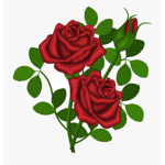 Rose Friends