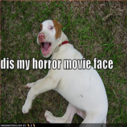 dis my scary movie face Roblox decal