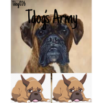 Tdog’s Army Discussion