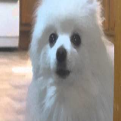 Gabe The Dog Roblox decal