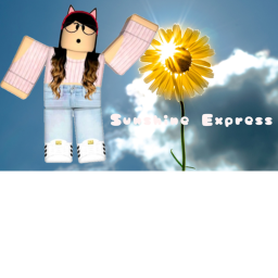 ☀️Sunshine Express☀️