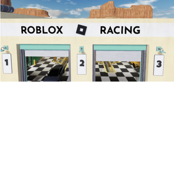 car racing simulator