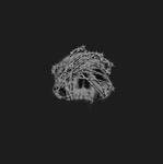 The Skull Prefects | TSP