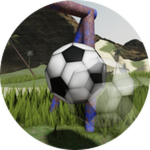 Score the Goal