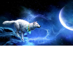 Wolfs Names,Grins,Beautiful Hairs,Snake Eyes